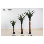 一帆风顺B 110cm