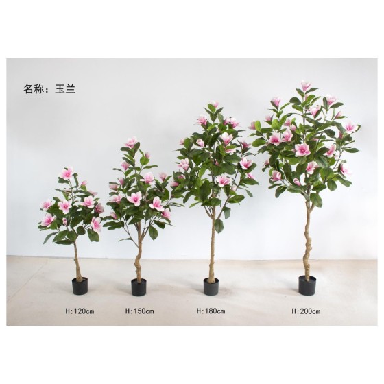 玉兰A（绿色） 120cm