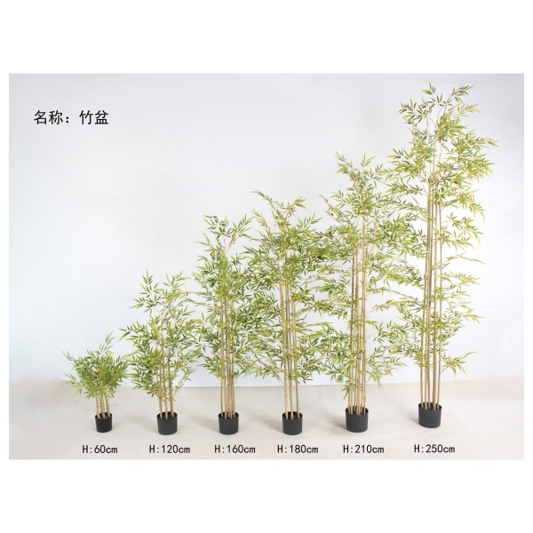 竹盆 180cm