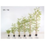 竹盆 250cm