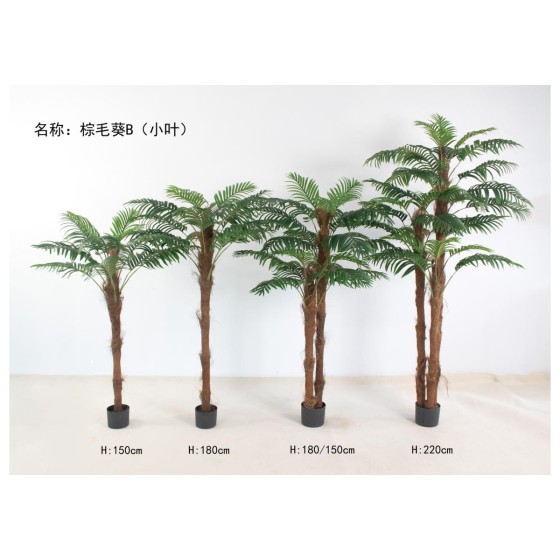 棕毛葵B(小叶) 180cm