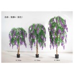 紫藤A（紫色） 150cm