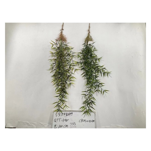 5叉75目金丝竹