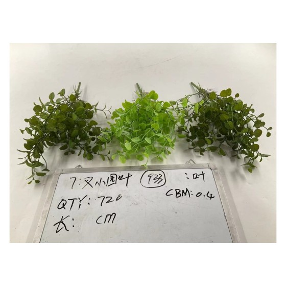 7叉22目金钱草
