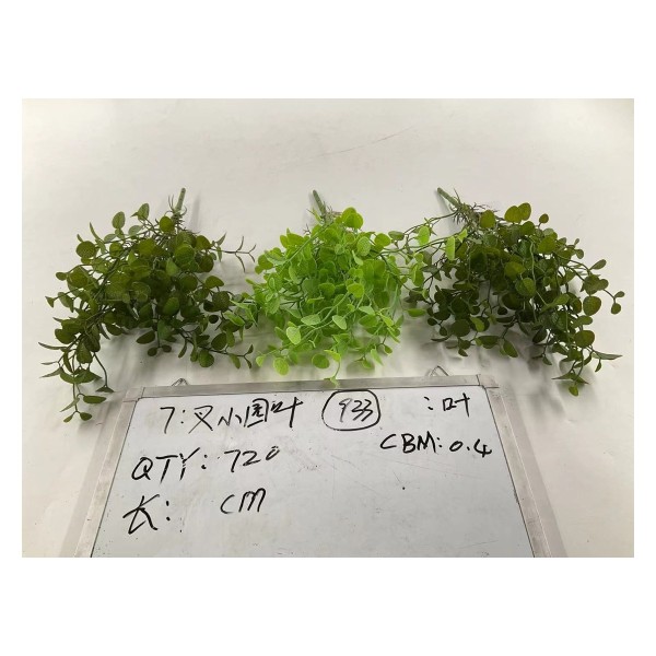 7叉22目金钱草