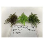 7叉22目迷香松