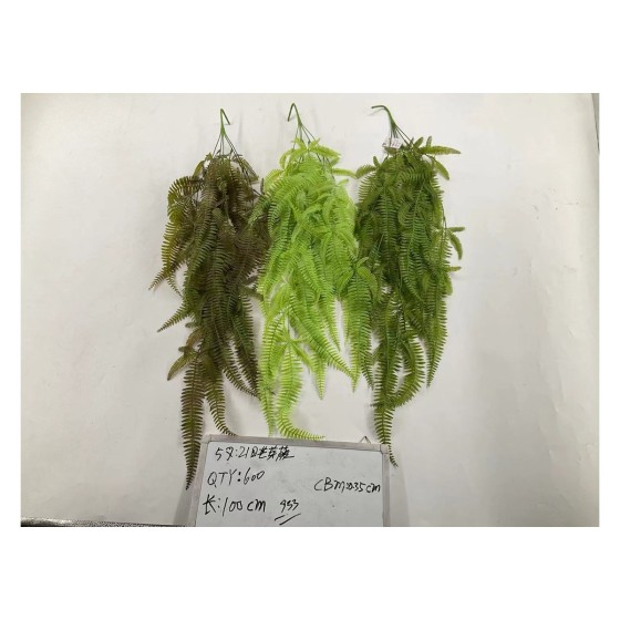 5叉21目芒萁藤