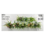 植毛系类 02