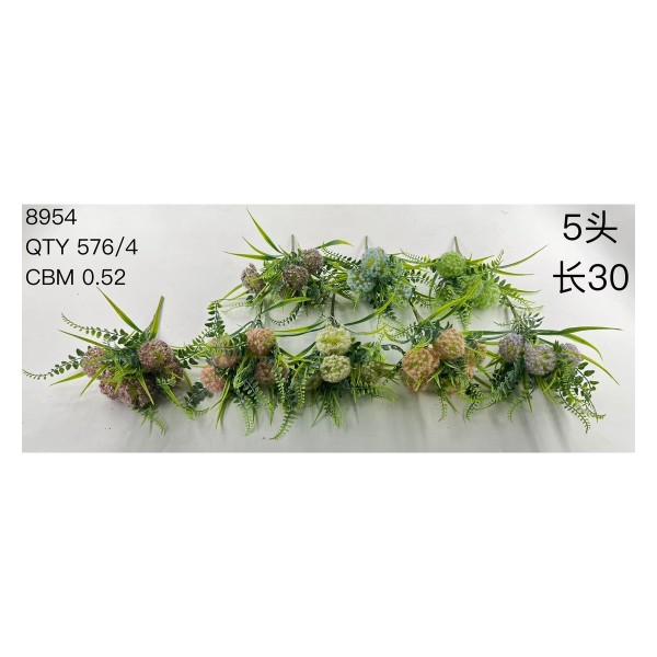 植毛系类 02