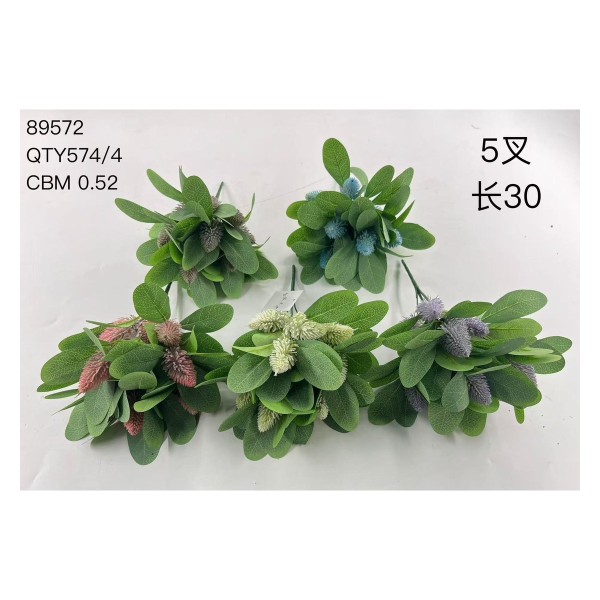 植毛系类 03