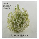 植毛系类 09