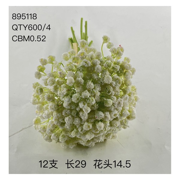 植毛系类 09