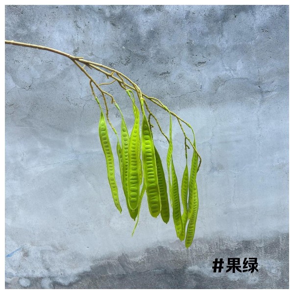 豆荚 09