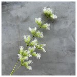 胖松 25