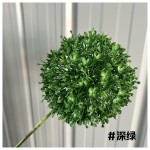 葱球 28