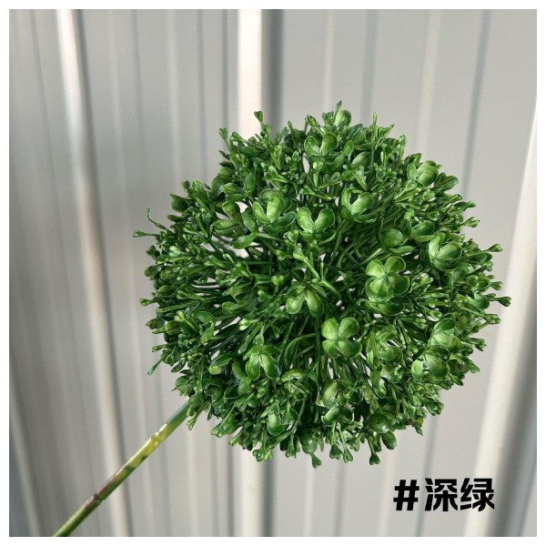葱球 28