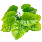 Planta verde artificial 064 064