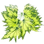 Planta verde artificial 083