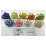 S大小雪球