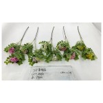2叉黄槐花