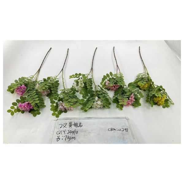 2叉黄槐花