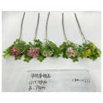 单枝黄槐花