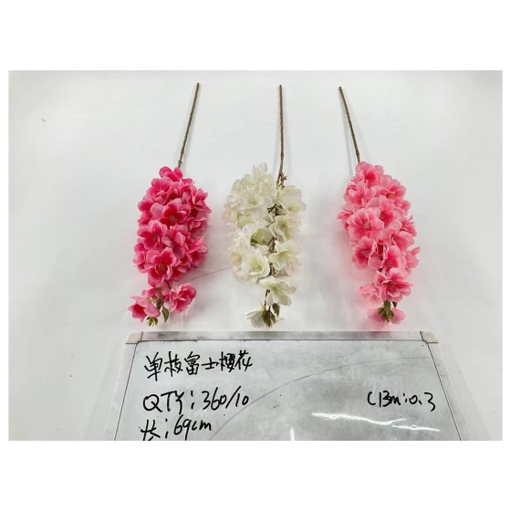 单枝富士樱花
