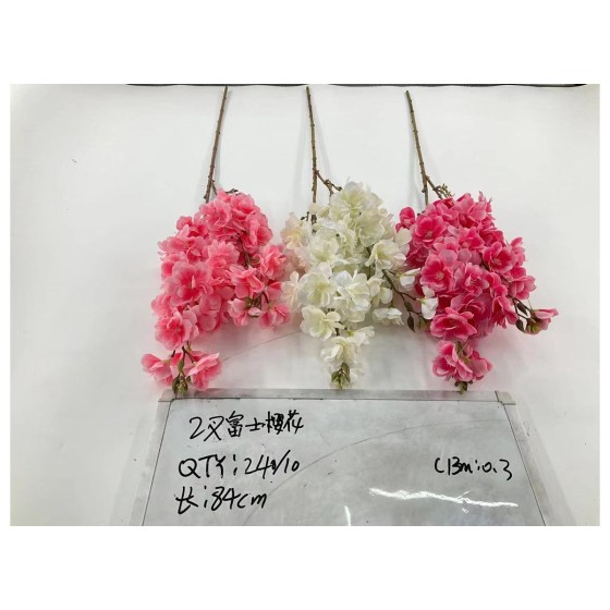 2叉富士樱花