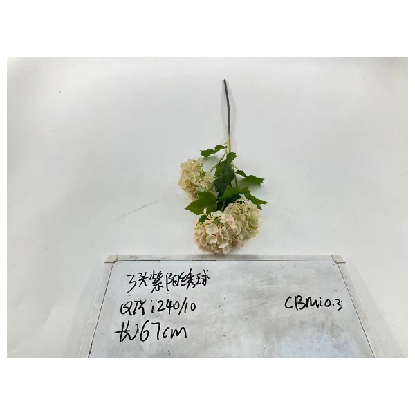了头紫阳练王球