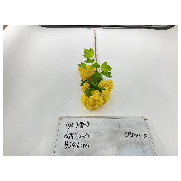 5头小雪球