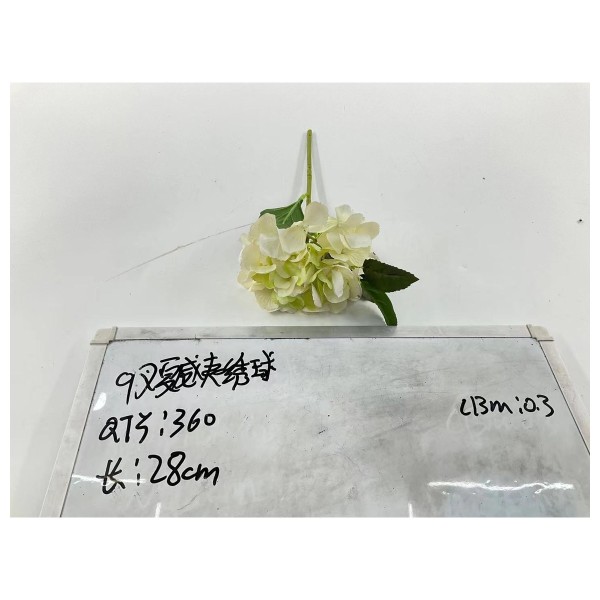 9叉夏感夫结球