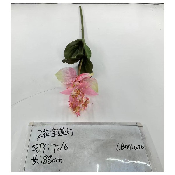 2花宝莲灯