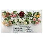 7关玖瑰王求菊