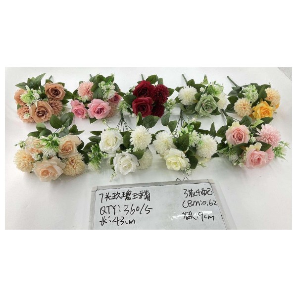 7关玖瑰王求菊