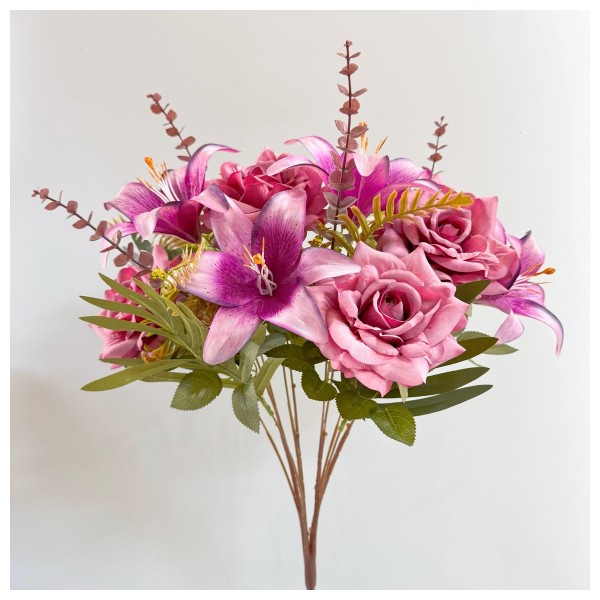 12头芙蓉玫虎兰组合
