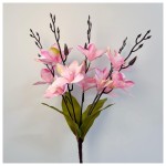 5头15花玉兰