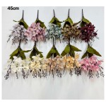 5头15花玉兰