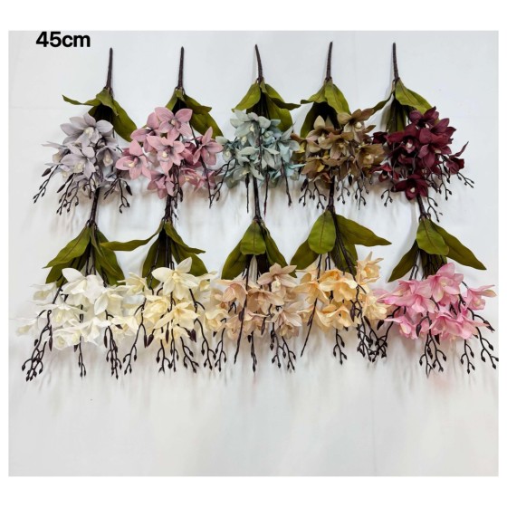 5头15花玉兰