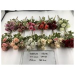 6花了配
