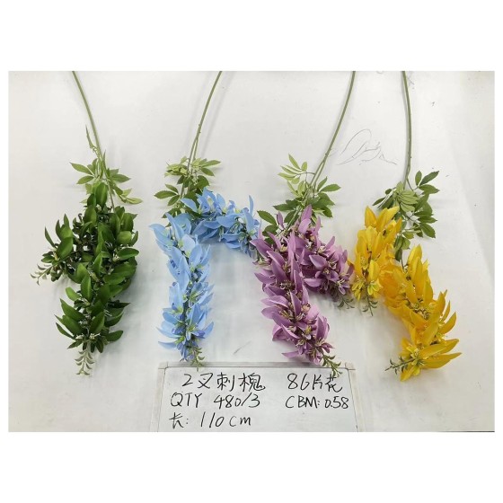 2叉刺槐