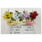 5双叉小绣球
